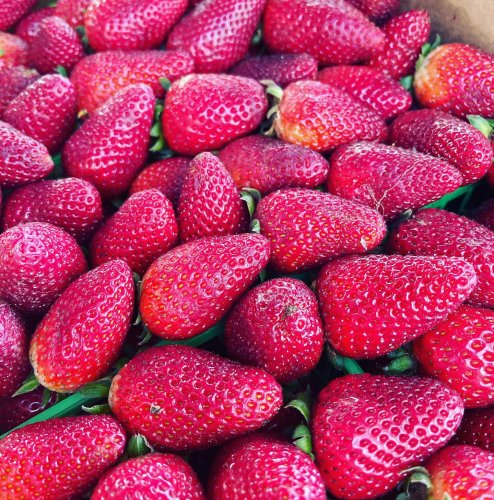 Photo post from visaliafarmersmarket.