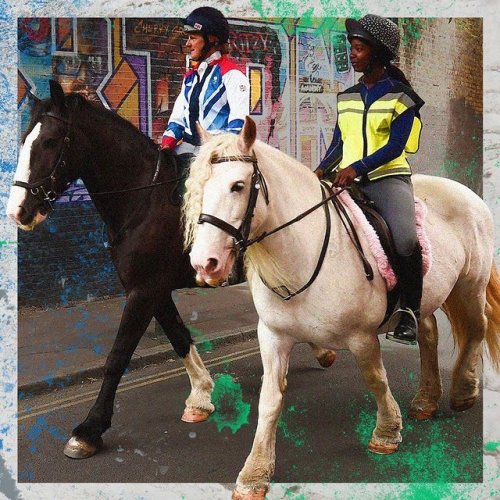 Video post from fei_global.