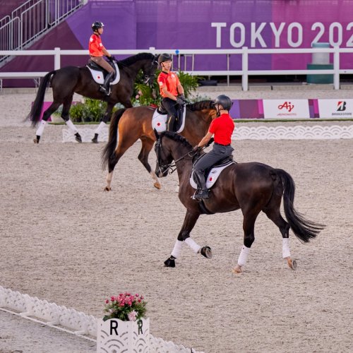 Carousel post from fei_global.