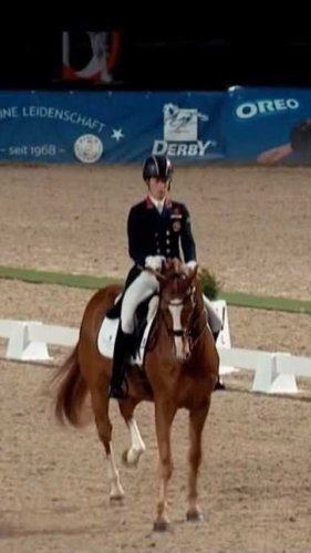 Video post from fei_global.