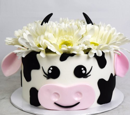 Photo post from marquettescakestudio.