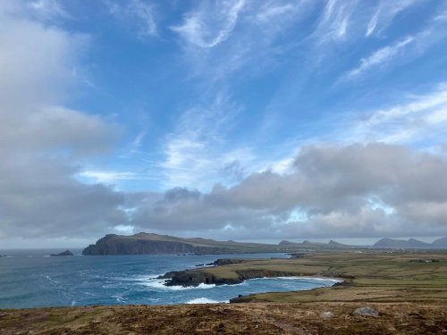 The Oddball Dolphin of Dingle