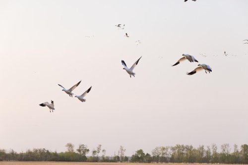 Photo post from northernskiesoutfitters.