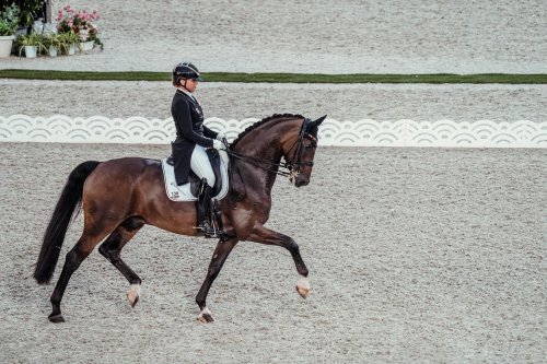 Carousel post from fei_global.