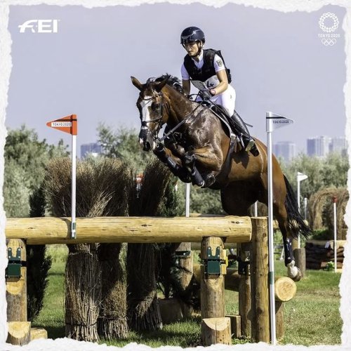 Video post from fei_global.