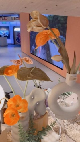 Video post from crane_living.