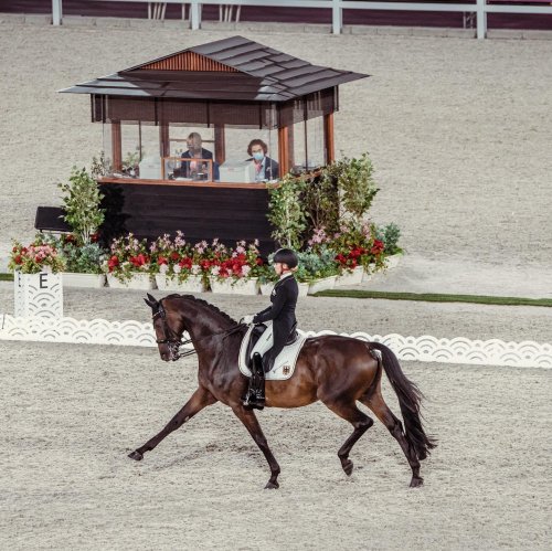 Carousel post from fei_global.