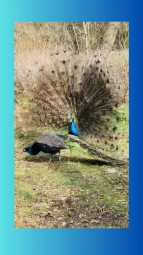 Video post from welterberegion.