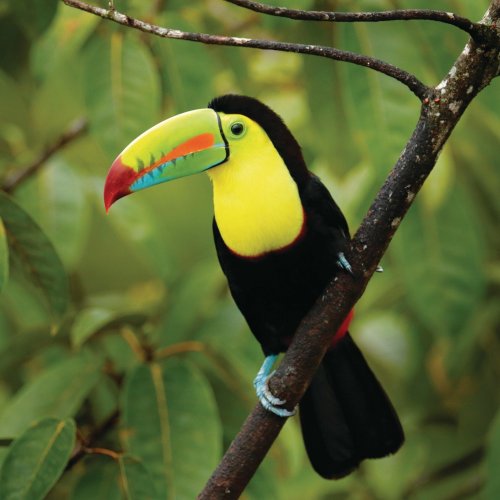 Photo post from taucktravel.