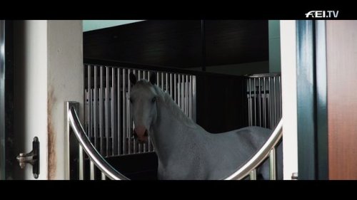 Video post from fei_global.