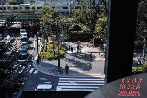 Photo post from play_shibuya.