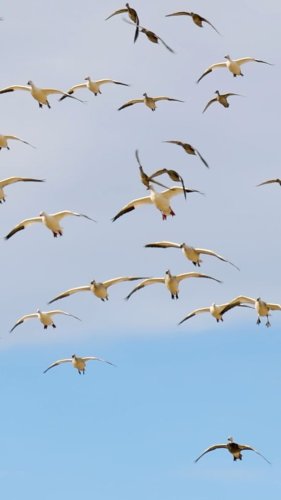 Video post from northernskiesoutfitters.