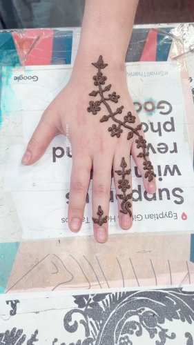 Video post from egyptian_henna_tattoos_florida.