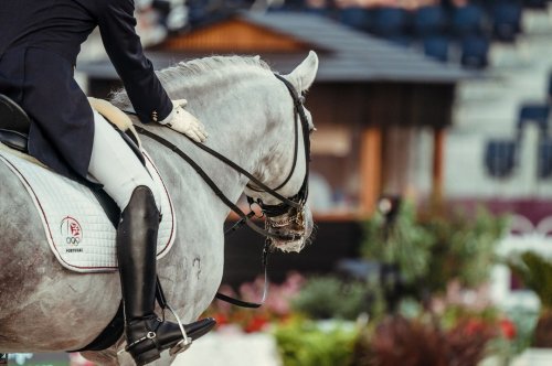 Carousel post from fei_global.