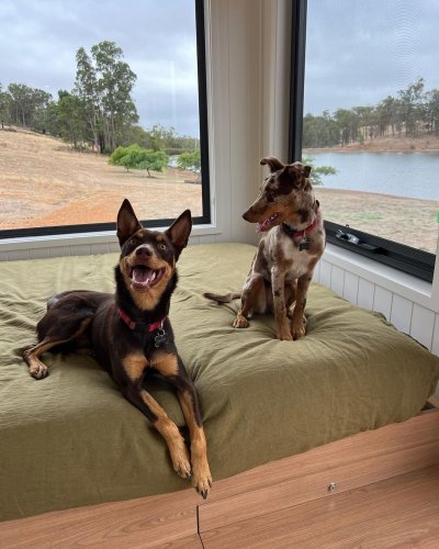 Photo post from in2thewild.aus.