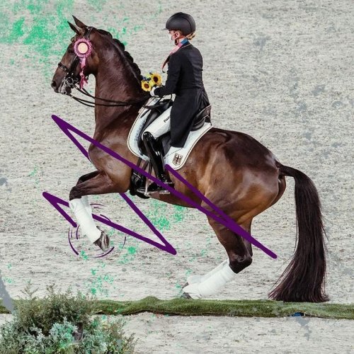 Video post from fei_global.