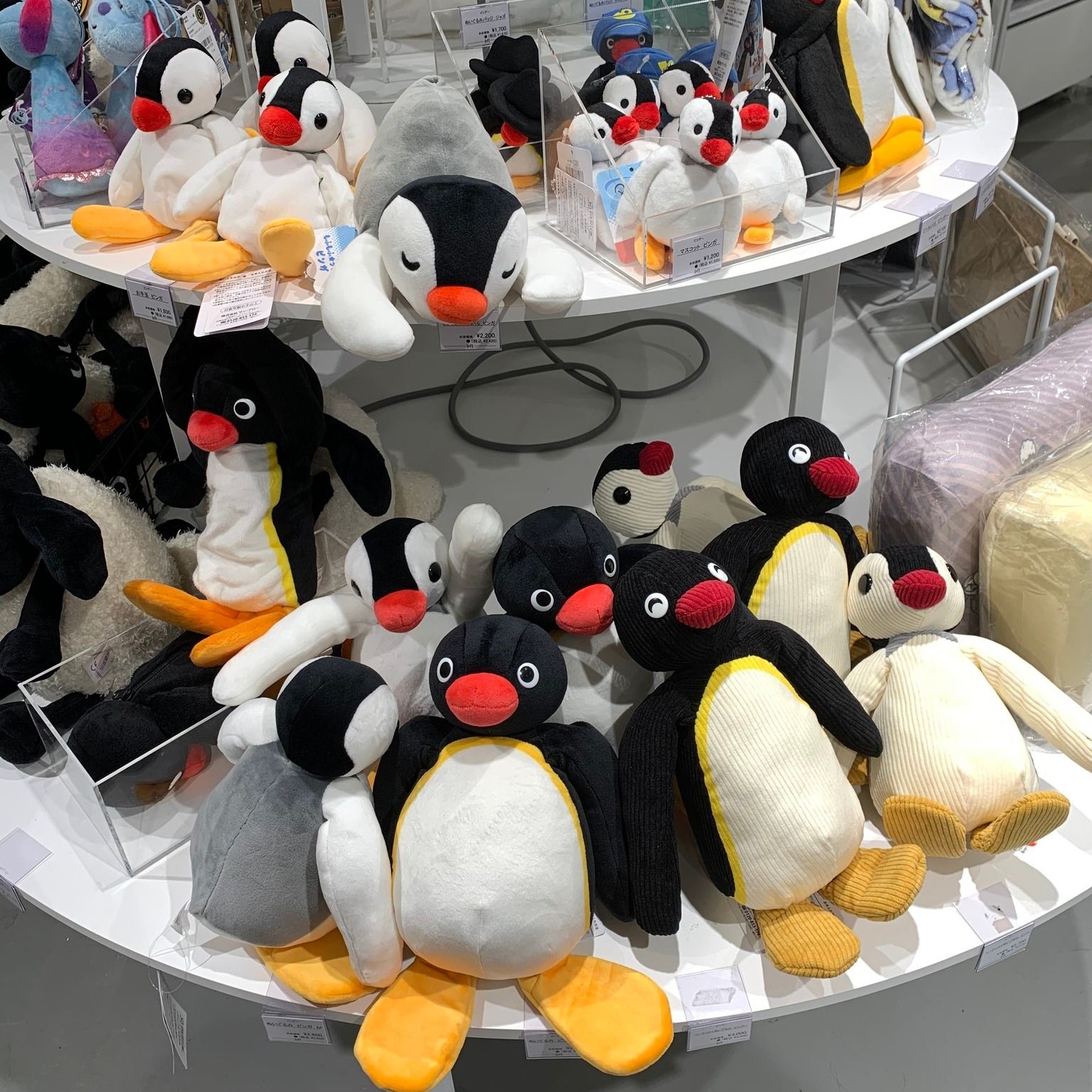 Carousel post from pingu_jp.