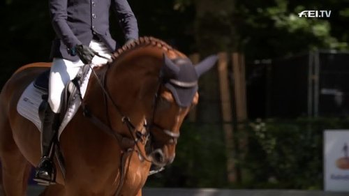 Video post from fei_global.