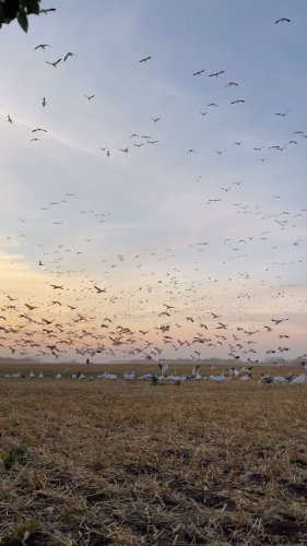 Video post from northernskiesoutfitters.