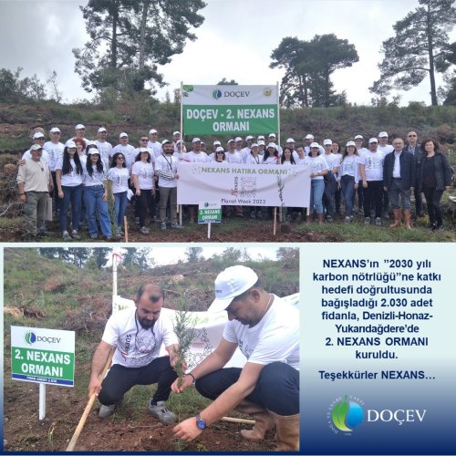 Photo post from dogavecevrevakfi.