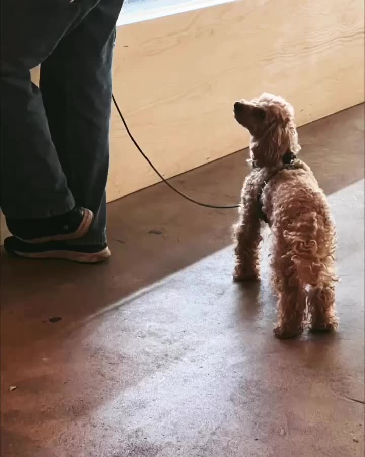 Video post from uno_fika_butik.