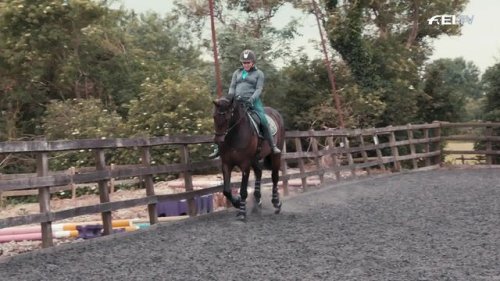 Video post from fei_global.