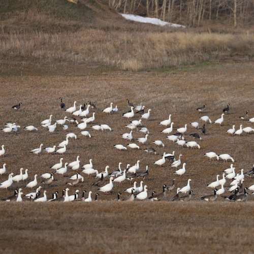 Photo post from northernskiesoutfitters.