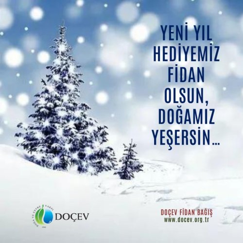 Photo post from dogavecevrevakfi.