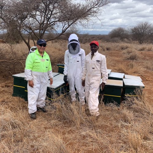 Carousel post from comvita_au.