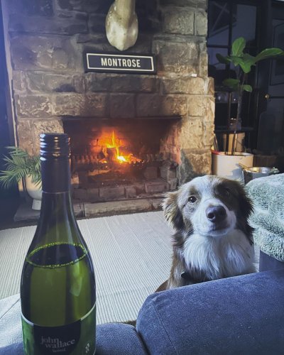 Photo post from the_station_hunter_valley.