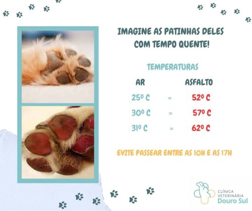 Photo post from clinica_veterinaria_dourosul.