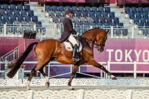 Carousel post from fei_global.