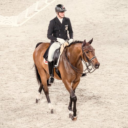 Carousel post from fei_global.