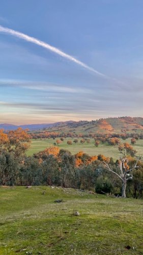 Video post from visitalburywodonga.