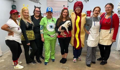 Photo post from familyanimalhospitalcm.