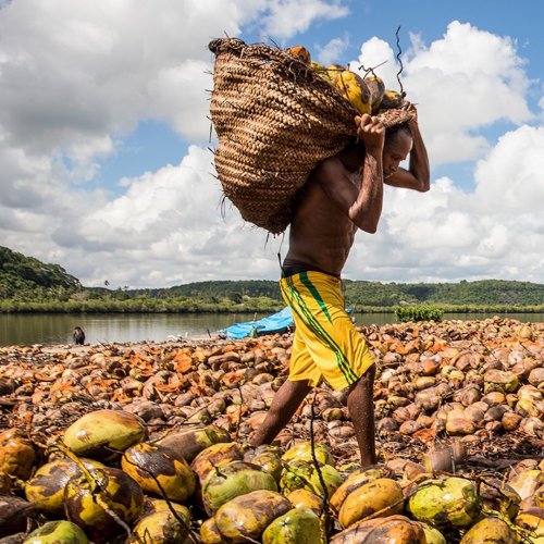 Carousel post from unops_official.