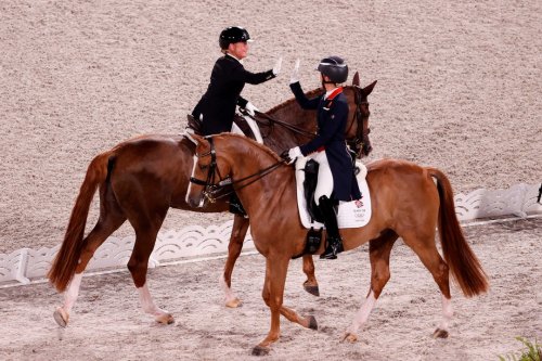 Carousel post from fei_global.