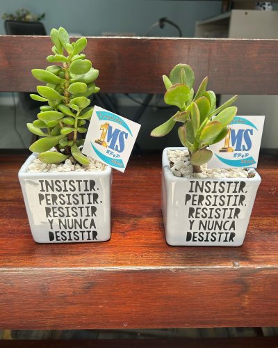 Photo post from la_gifteria.