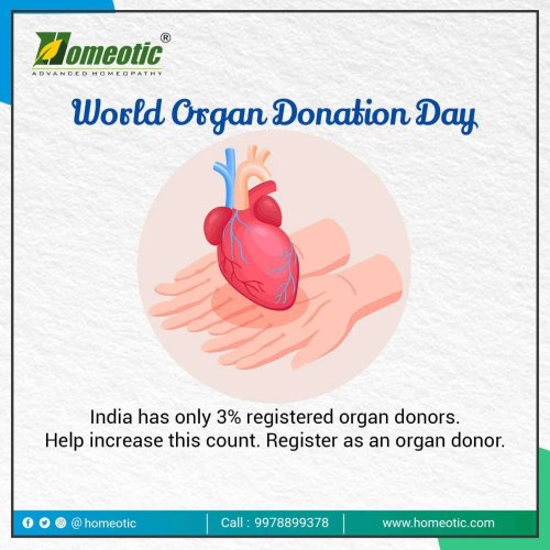 Photo post from homeotic_international.