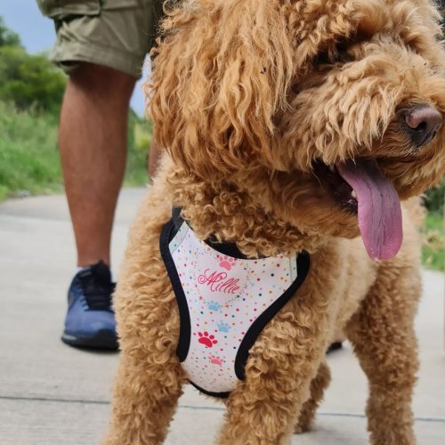 Photo post from furrypeeps.