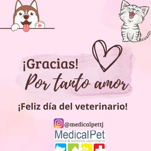 Photo post from medicalpettj.