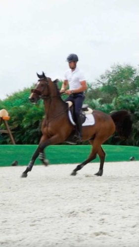 Video post from fei_global.