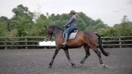 Video post from fei_global.