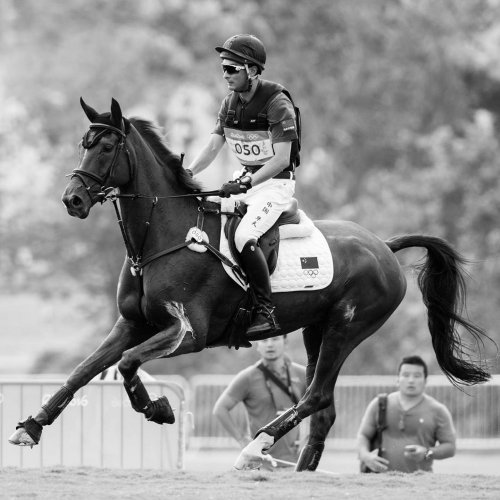 Carousel post from fei_global.