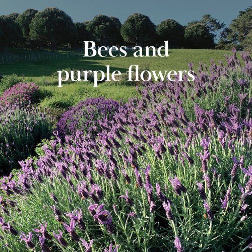 Carousel post from comvita_au.