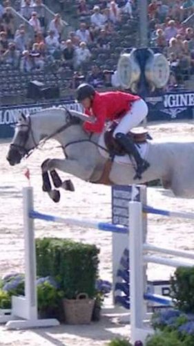 Video post from fei_global.