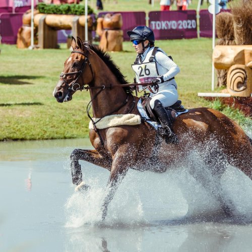 Carousel post from fei_global.