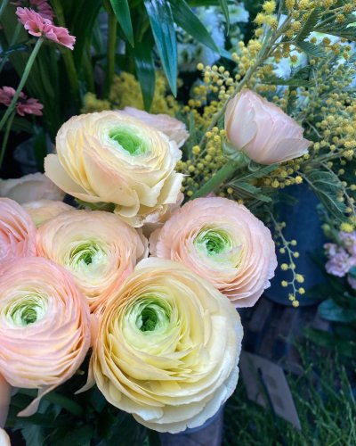 Photo post from blomsterborsen.