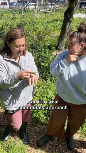 Video post from nzgreenparty.