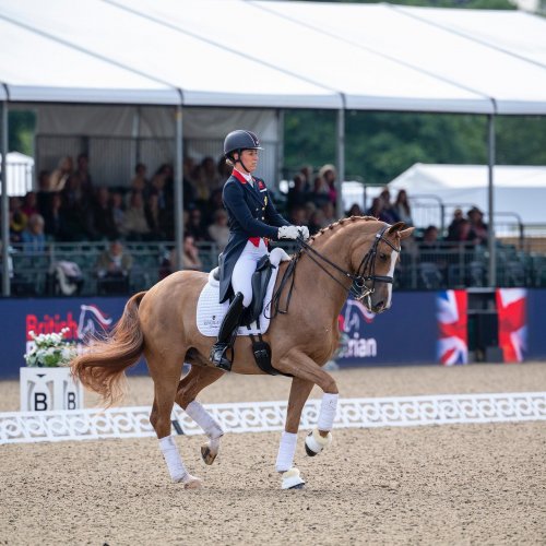 Carousel post from fei_global.